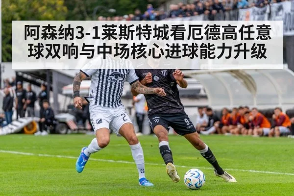 soccer stadium action